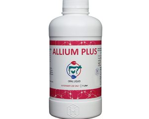 Allium Plus