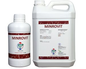 Minrovit