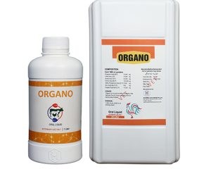 Organo
