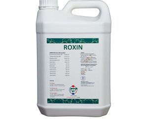 Roxin