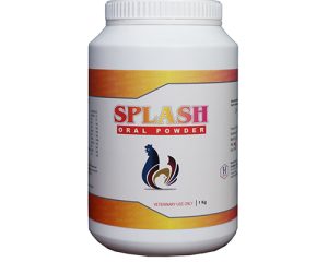 Splash