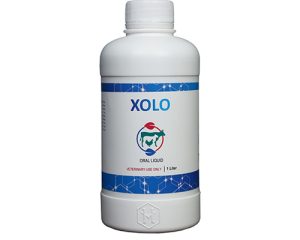 Xolo