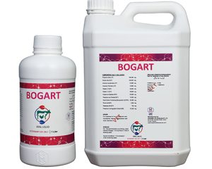 bograt