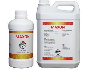 maxon