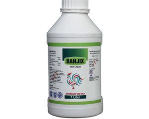 BANJIX