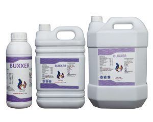 Buxxer