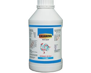 Casanova