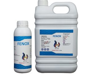 Fenox