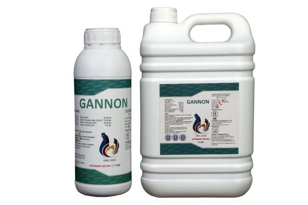 Gannon