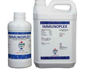 immunoplex